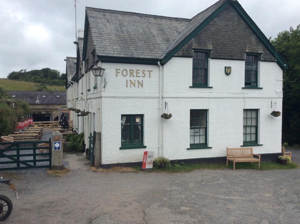 The Forest Inn Dartmoor Yelverton Ngoại thất bức ảnh